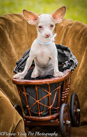 Foster Marion-2