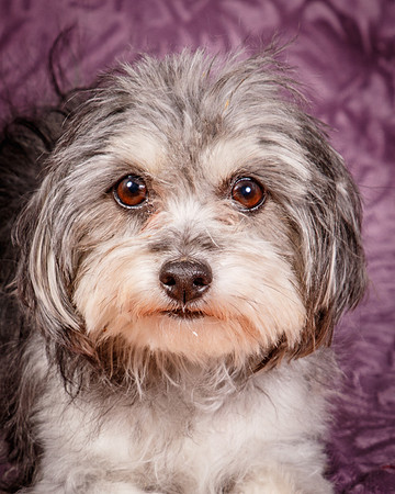 Foster Alex-6271