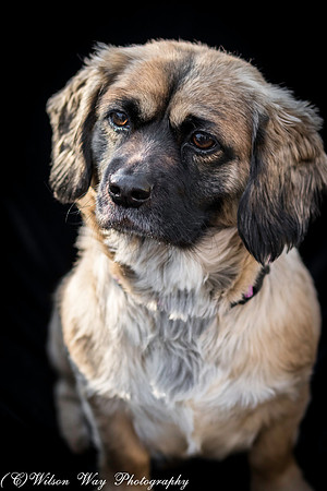 Foster Trudy-22