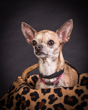Foster Selina-1165