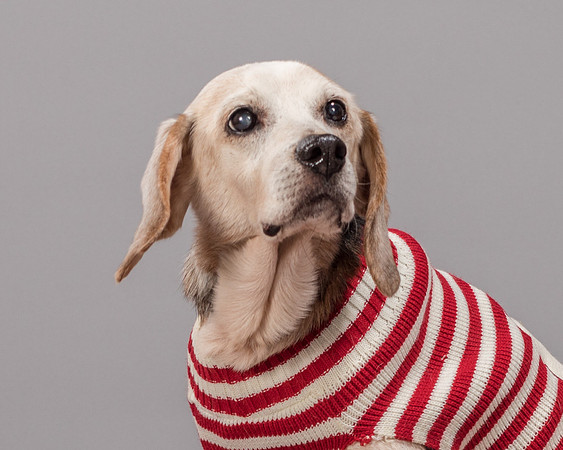 Foster Gabe-2295