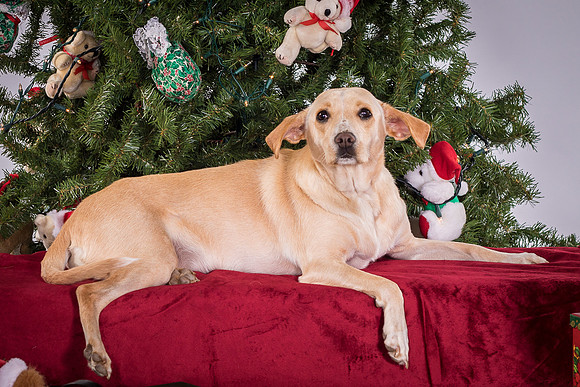 Foster June-3578