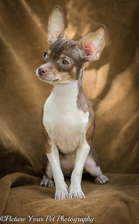 Foster Joanie-2-4