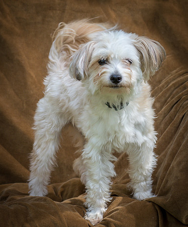 Foster Ricardo-8757