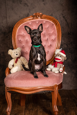 Foster Elvira-0189