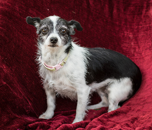 Foster Olive-7671