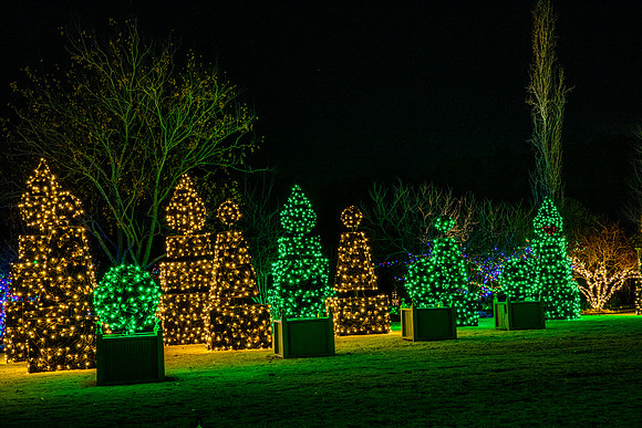 Christmas-2929