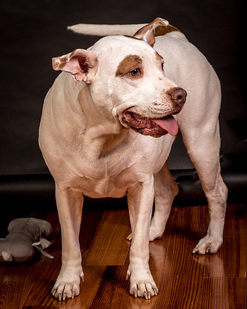 Foster Joanie-0611