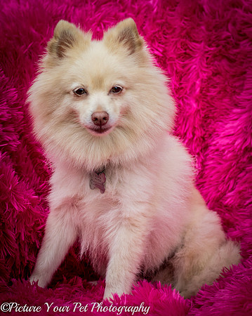 Foster Laverne-6353