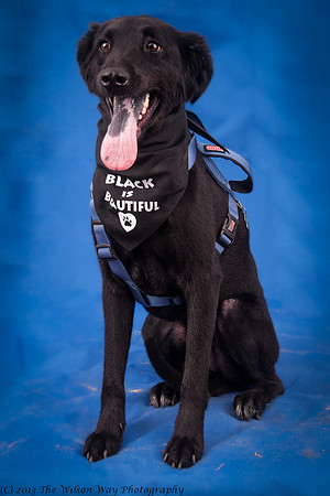 Denver and Huck-9388