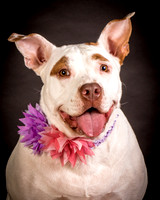 Foster Joanie-0417