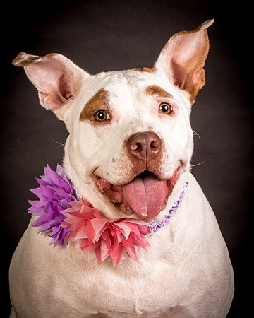 Foster Joanie-0417