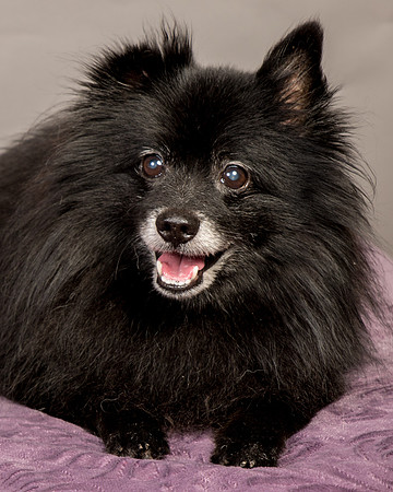 Foster Wayne-8319