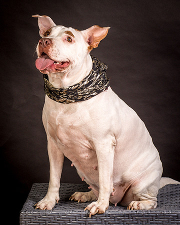 Foster Joanie-0437