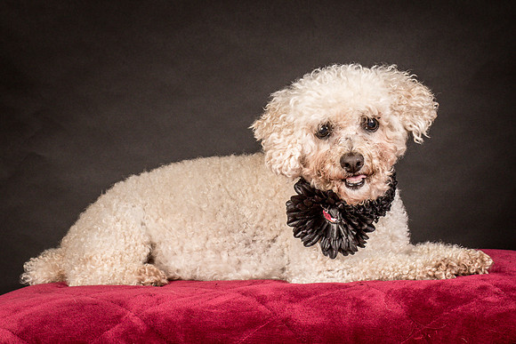 Foster Mae-9036