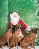 Santa Claus-3292