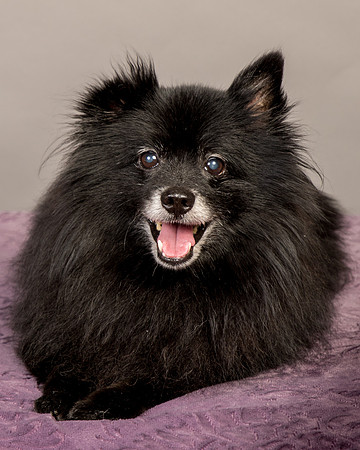 Foster Wayne-8288