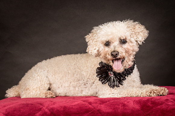 Foster Mae-9038