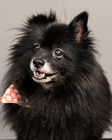 Foster Wayne-7792