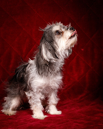 Foster Alex-6299