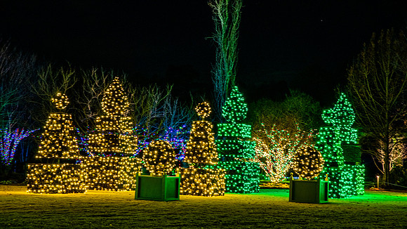 Christmas-2939