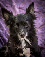 Foster Julio-6284
