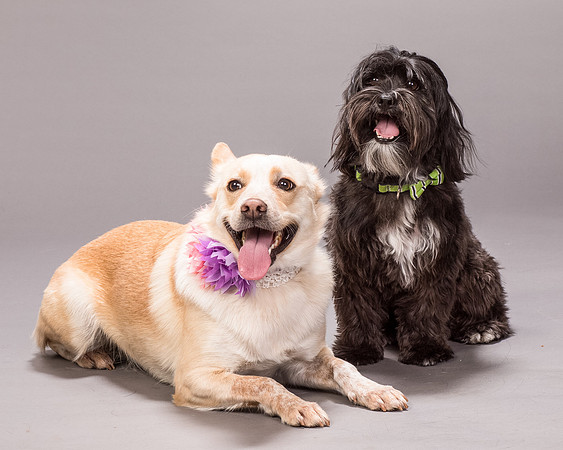 Maggie and Henry-7291