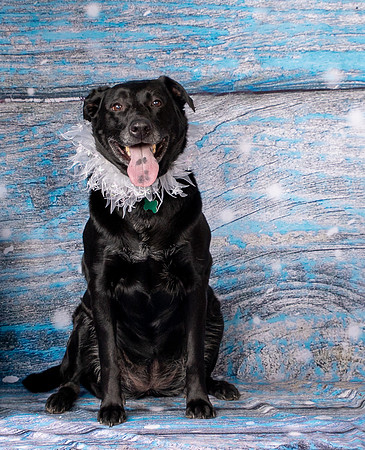 Foster Beatrice-4019