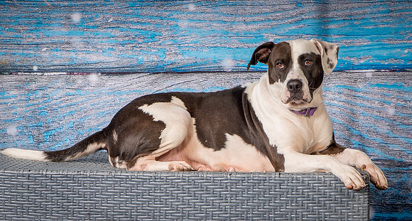 Foster Lucette-3234