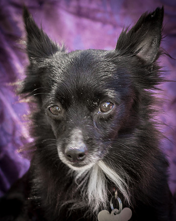 Foster Julio-6282