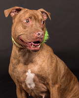 Foster Coco-2028