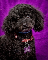 Foster Mindy-7341