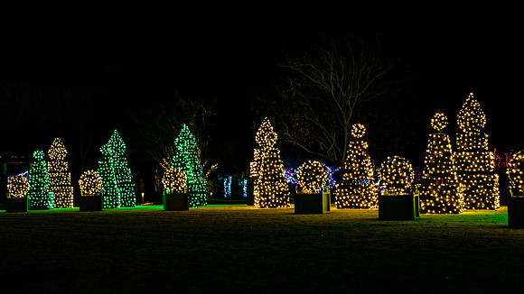 Christmas-2536