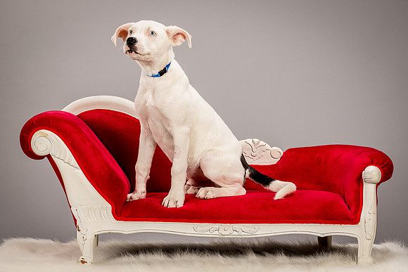 Foster Alvin-4728
