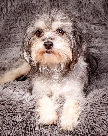 Foster Alex-6238