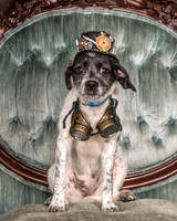 Foster Billie-8152