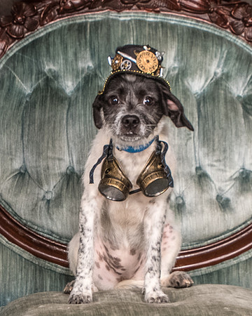 Foster Billie-8152