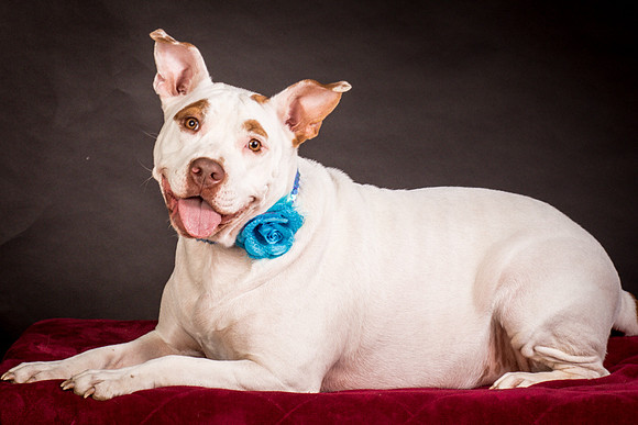 Foster Joanie-0478