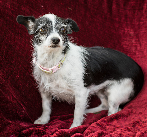 Foster Olive-7658