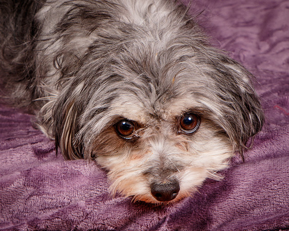 Foster Alex-6256