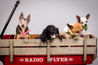 Foster Hospice Gang-3793