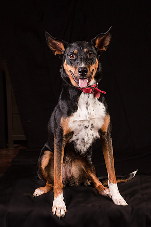 Foster Mia-1248