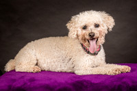 Foster Mae-8968