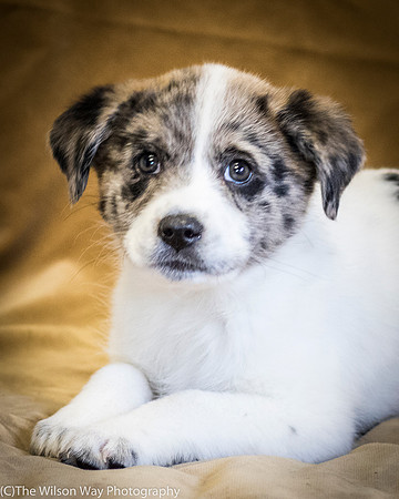 Foster Mira Jane-0308