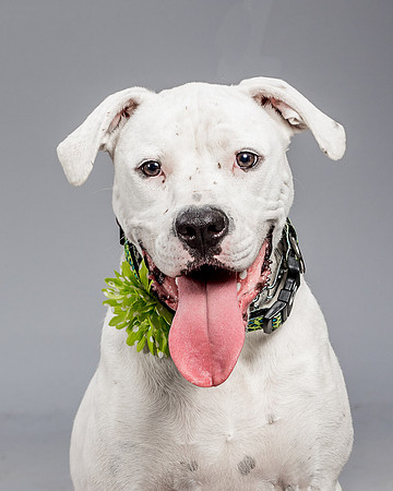 Foster Molly-3703