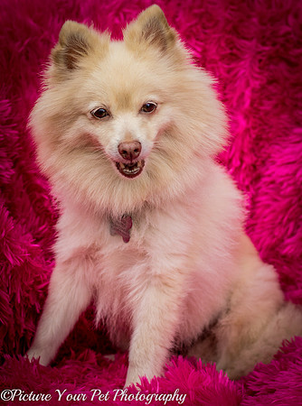 Foster Laverne-6351