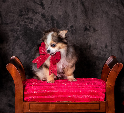 Foster Gabe-4427