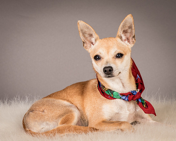 Foster Rosanna-3857