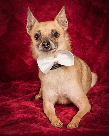 Foster Kiwi-8717