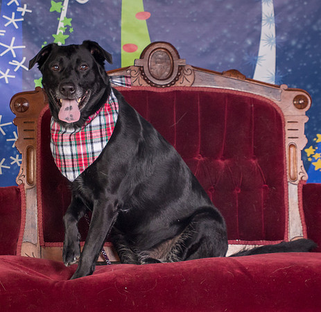 Foster Beatrice-3997